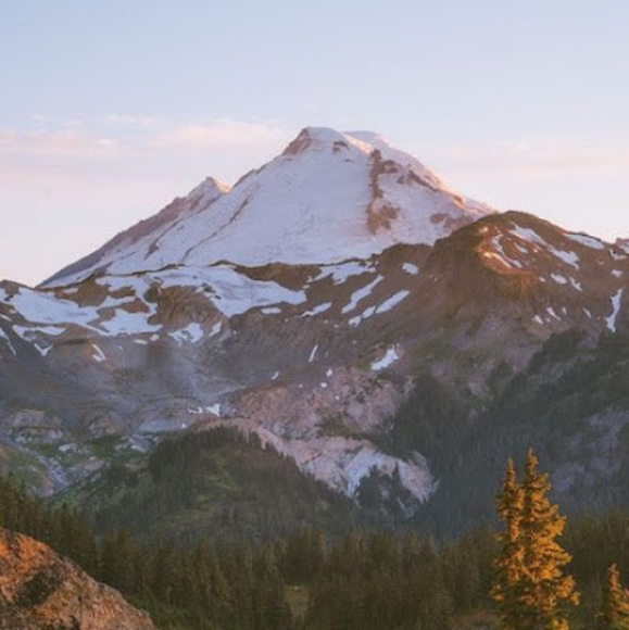 Meet your Posher, A - Picture 1 of 1